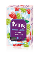IRVING - COLD BREW TEA RASPBERRY & GOOSEBERRY - 20 BAG