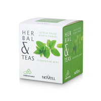 HERBAL AND TEAS - PENNY ROYAL MINT - Box 15 pyramids.