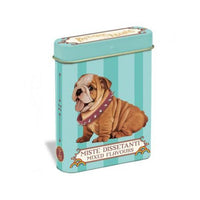 LEONE - Candies - Display Pets Pocket MISTE DISSETANTI